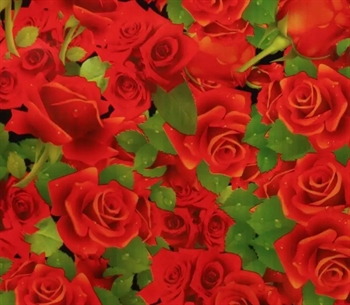 Voksdug 20 meters rulle - Røde roser - 140 cm bred