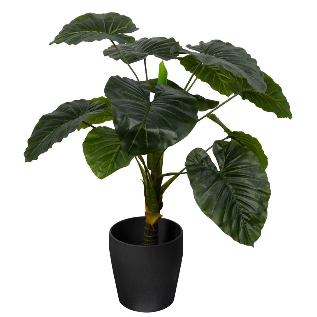 Kunstig Alocasia Odora Plante - Højde 90 cm - 1 stammet med grønne blade - Kunstig gulvplante