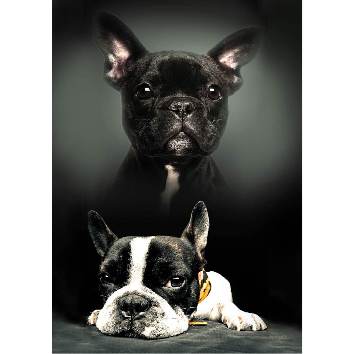 Borg Living Børnetæppe - Fleeceplaid - Hunde - Sort - 100x140 cm
